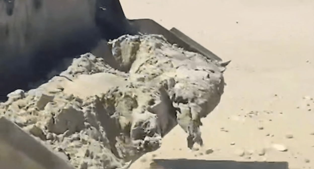 Уборка туш тюленей в Махачкале. Стоп-кадр видео из Telegram-канала Исрафила Исрафилова от 19.04.25, https://t.me/israfilof/23683.