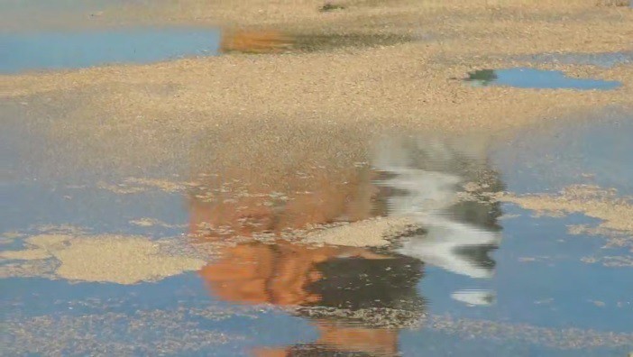 Акватория Анапы, загрязненная мазутом. Кадр видео из телеграм-канала Оперштаба Краснодарского края https://t.me/opershtab23/13298