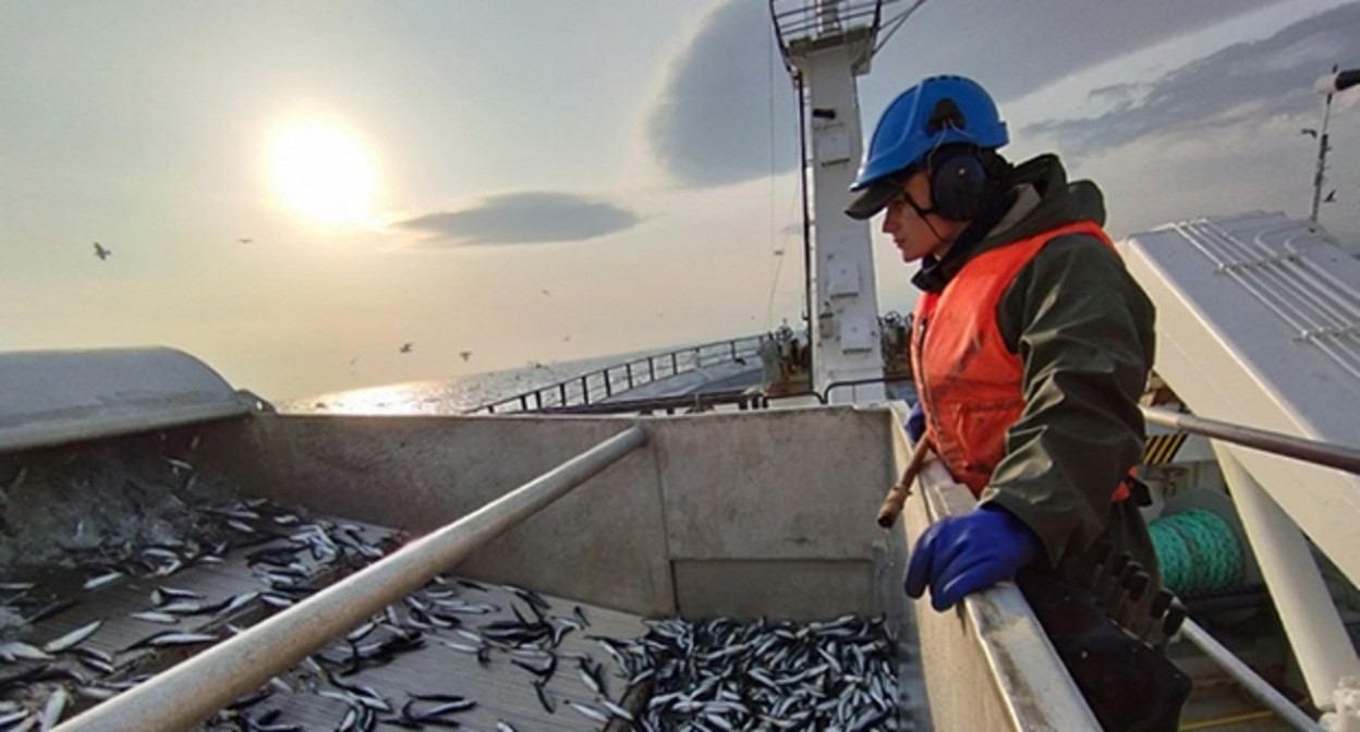 Рыбный промысел в Черном море. Фото: Объединенная пресс-служба Росрыболовства https://fish.gov.ru/