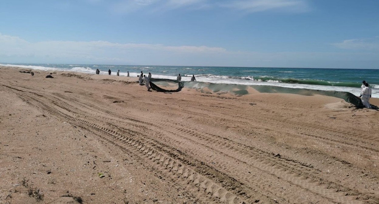 Участники ликвидации последствий разлива мазута. Анапа, 18 мая 2025 года. Фото из телеграм-канала оперштаба Кубани https://t.me/opershtab23/13503