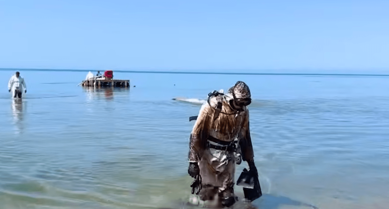 Водолаз выходит из моря после уборки мазута. Стоп-кадр видео оперштаба Краснодарского края от 07.06.25, https://t.me/opershtab23/13603.