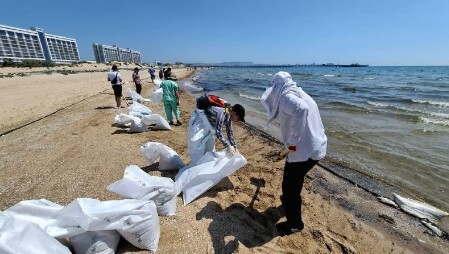Работы по очистке пляжей в Анапе. Фото из телеграм-канала оперштаба Кубани.