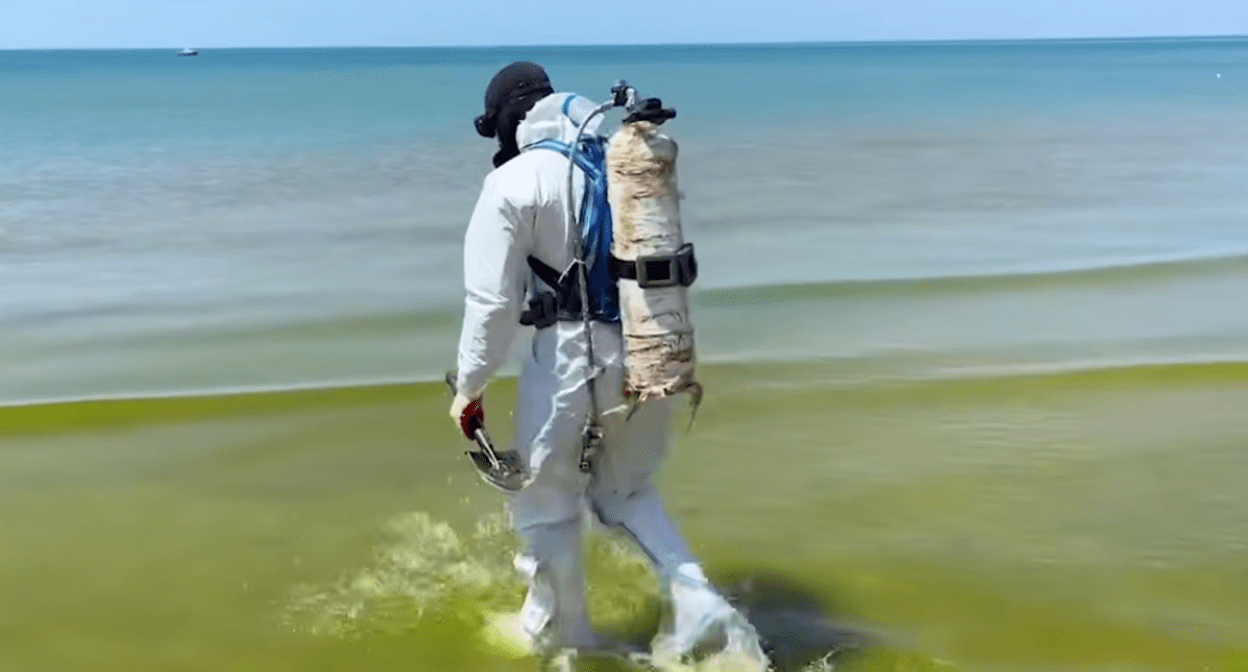 Водолаз заходит в море. Стоп-кадр видео оперштаба Краснодарского края от 08.06.25, https://t.me/opershtab23/13606. 