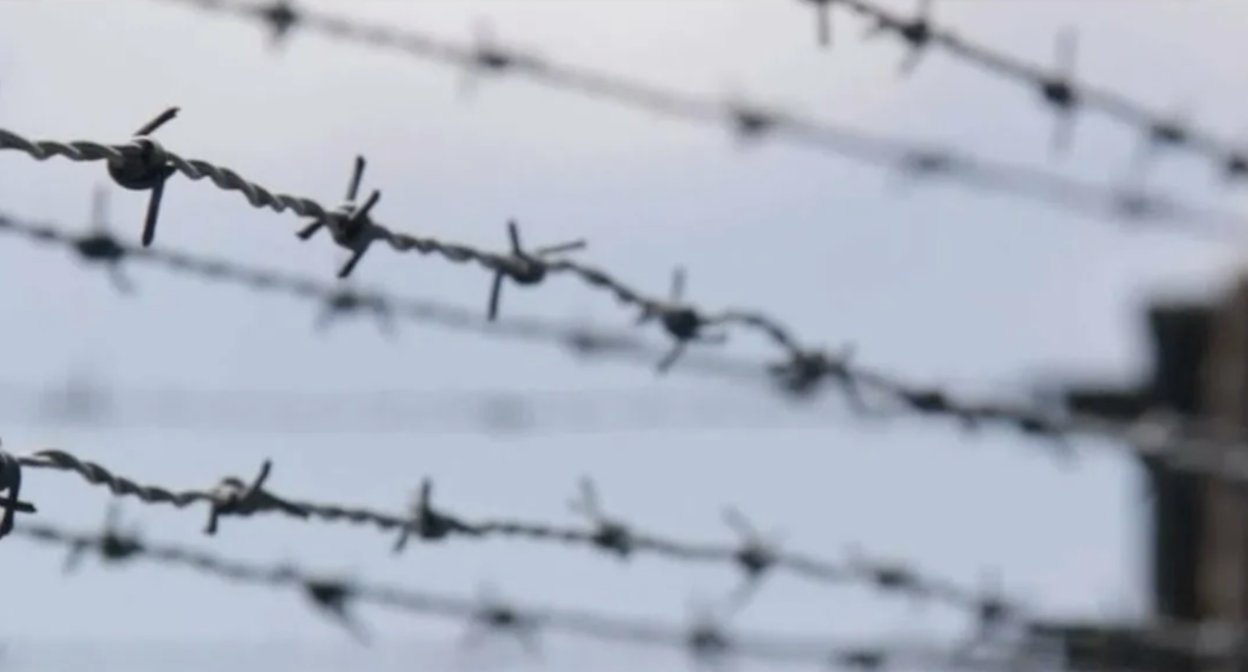 Колючая проволока. Стоп-кадр видео https://www.youtube.com/watch?app=desktop&v=P4xkRWG7KUA