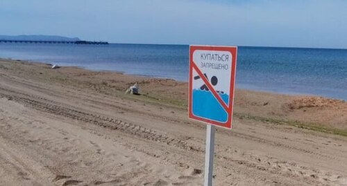 Табличка о запрете купания, установленная на пляже в Анапе. Фото: Оперштаб Кубани