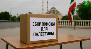 Сбор помощи для Палестины в Чечне. Иллюстрация создана 