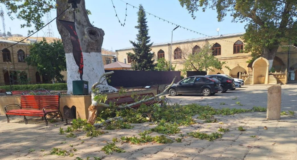 Упавшая ветка во дворе мечети в Дербенте. Скриншот фото из Telegram-канала РГВК "Дагестан" от 03.08.24, https://t.me/RGVKDAGESTAN/39676.