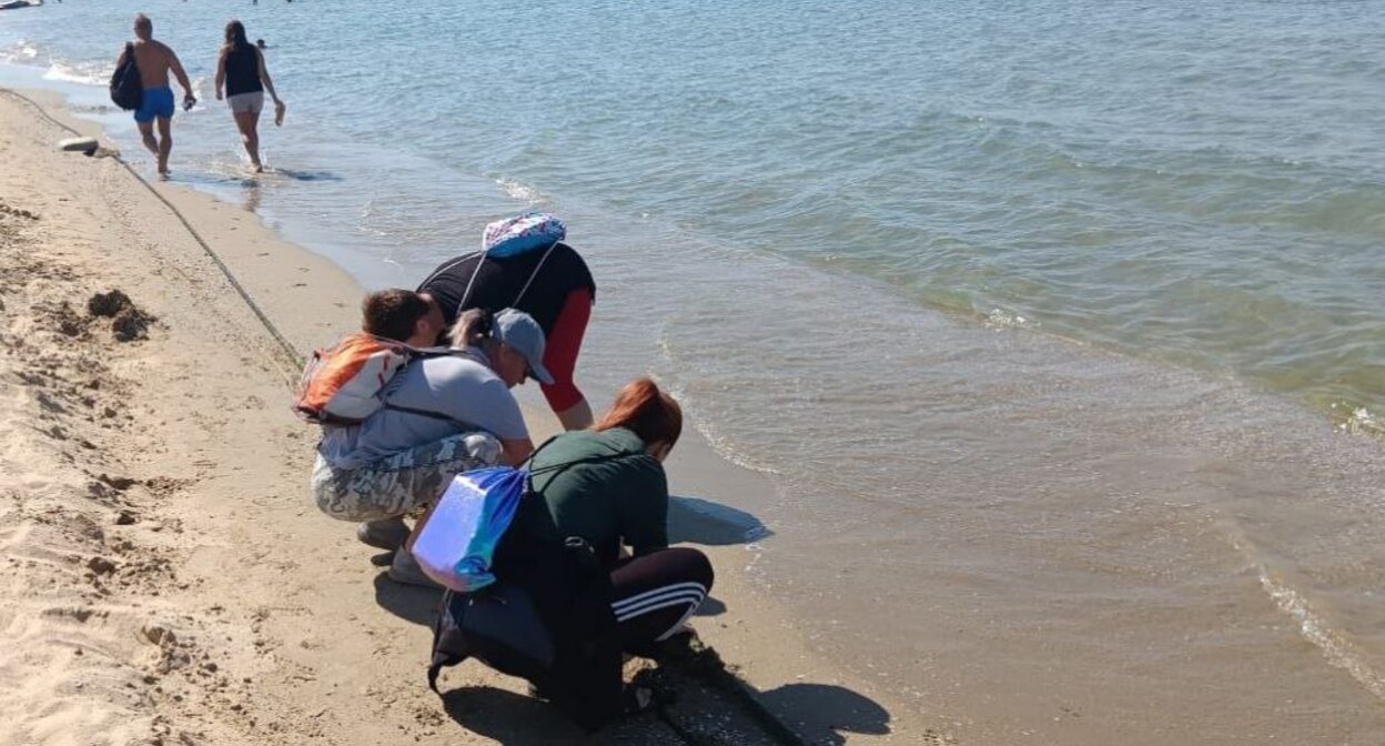 Пляж Анапы. 12 августа 2025 г. Фото: https://t.me/opershtab23/13963