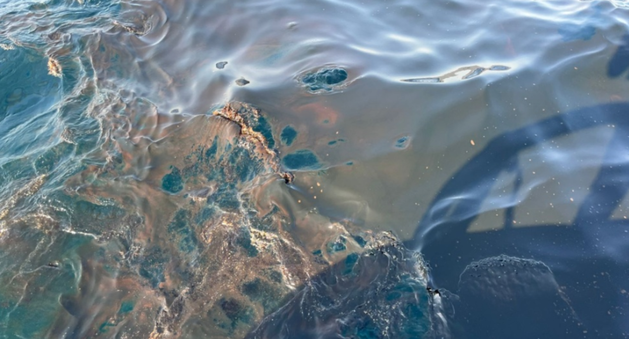 Разлив нефти у побережья Новороссийска. Скриншот фото Росприроднадзора от 29.08.25, https://rpn.gov.ru/press/news/v_morskom_portu_novorossiyska_operativno_lokalizovan_razliv_nefti/