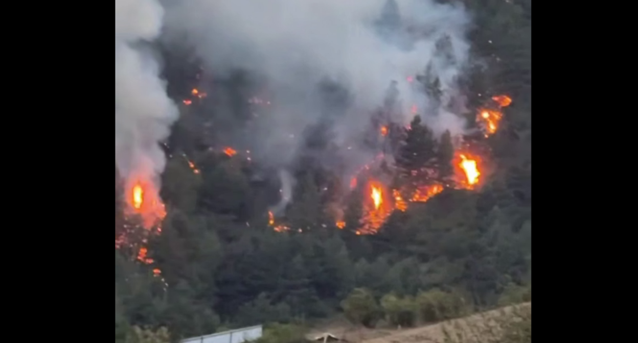 Лесной пожар в Тляратинском районе. Стоп-кадр видео из Telegram-канала Магомеда Бисавалиева от 30.08.25, https://t.me/bisavaliev1/7755