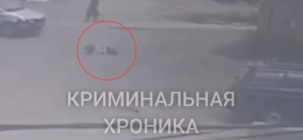 Кадр видео в Telegram-канале "Криминальная хроника". 