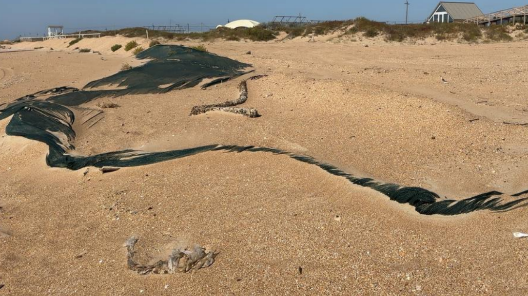 Состояние защитного вала на Бугазской косе. Скриншот фото штаба "Сети, сито, лопата" от 05.10.25, https://t.me/setisitolopata/1610?single