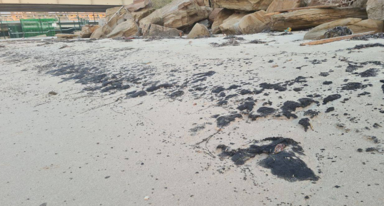 Мазутные пятна в Тамани. Скриншот фото штаба "Дельфины" от 08.10.25, https://t.me/shtab_delfin/1271.