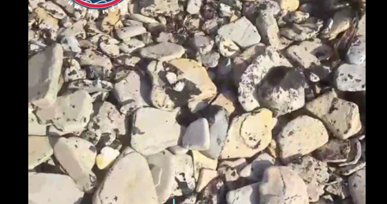 Мазутные "плюшки". Стоп-кадр видео штаба "Дельфины" от 16.11.25, https://t.me/shtab_delfin/1479.