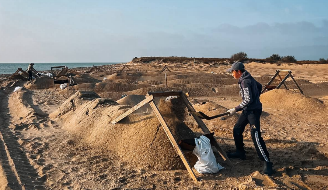 Волонтеры просеивают песок на берегу. Скриншот фото штаба "Сети, сито, лопата" от 7.11.25, https://t.me/setisitolopata/1874