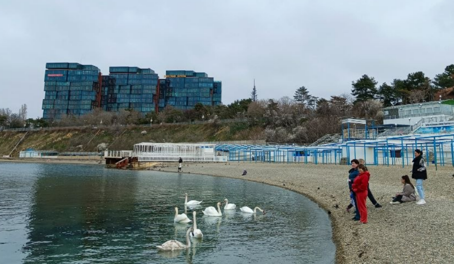 Пляж "Высокий берег". Скриншот фото Юрия Озаровского от 25.03.26, https://t.me/MoreOz/119508?single Пляж "Высокий берег". Скриншот фото Юрия Озаровского от 25.03.26, https://t.me/MoreOz/119508?single
