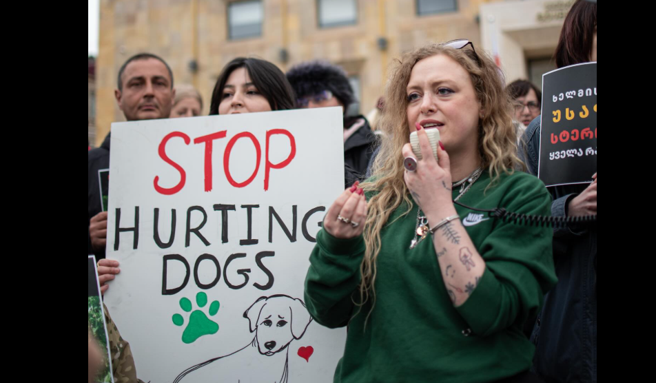 Акция протеста в Тбилиси. Скриншот фото Publika от 04.03.26, https://www.facebook.com/photo/?fbid=1723744409025102&set=pb.100041686795244.-2207520000 (деятельность компании Meta, владеющей соцсетью, запрещена в России)