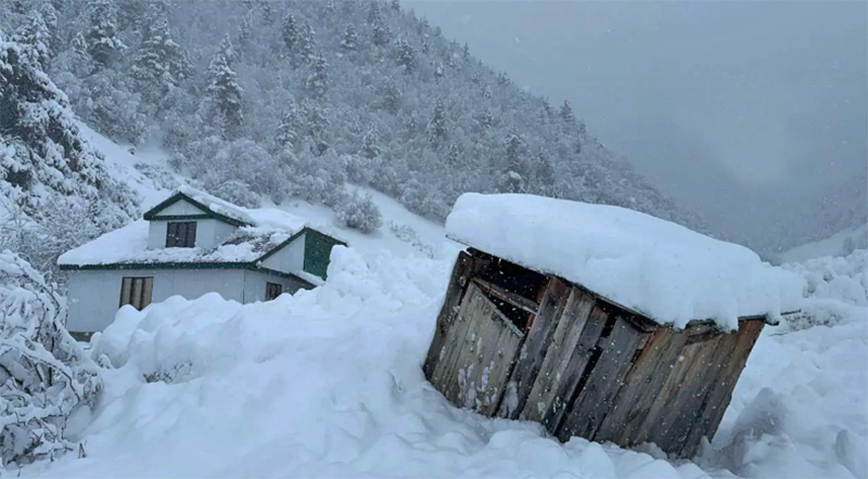 Сход лавины в Цумадинском районе. Фото: Прокуратура Москвы