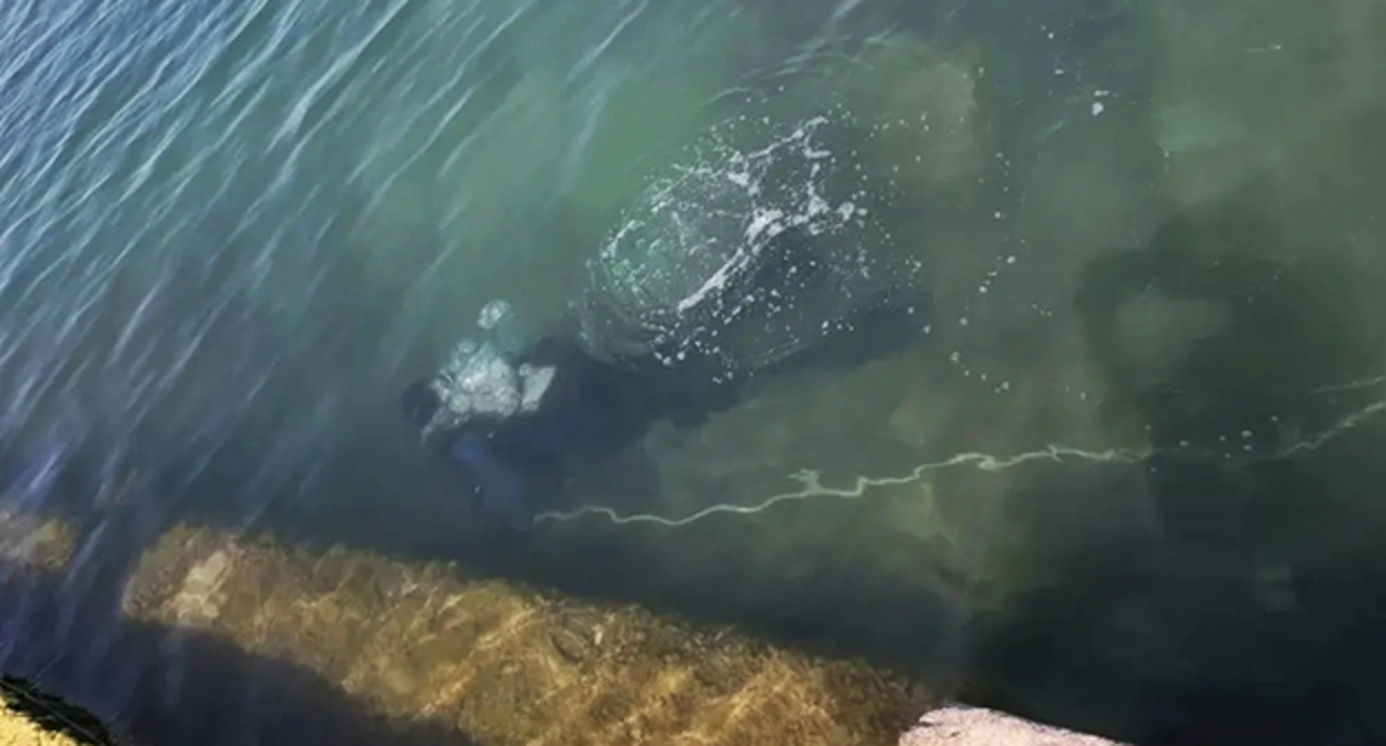 Водолазы осматривают дно моря возле поселка Дедеркой. Фото: "Кубань-СПАС" Водолазы осматривают дно моря возле поселка Дедеркой. Фото: "Кубань-СПАС"