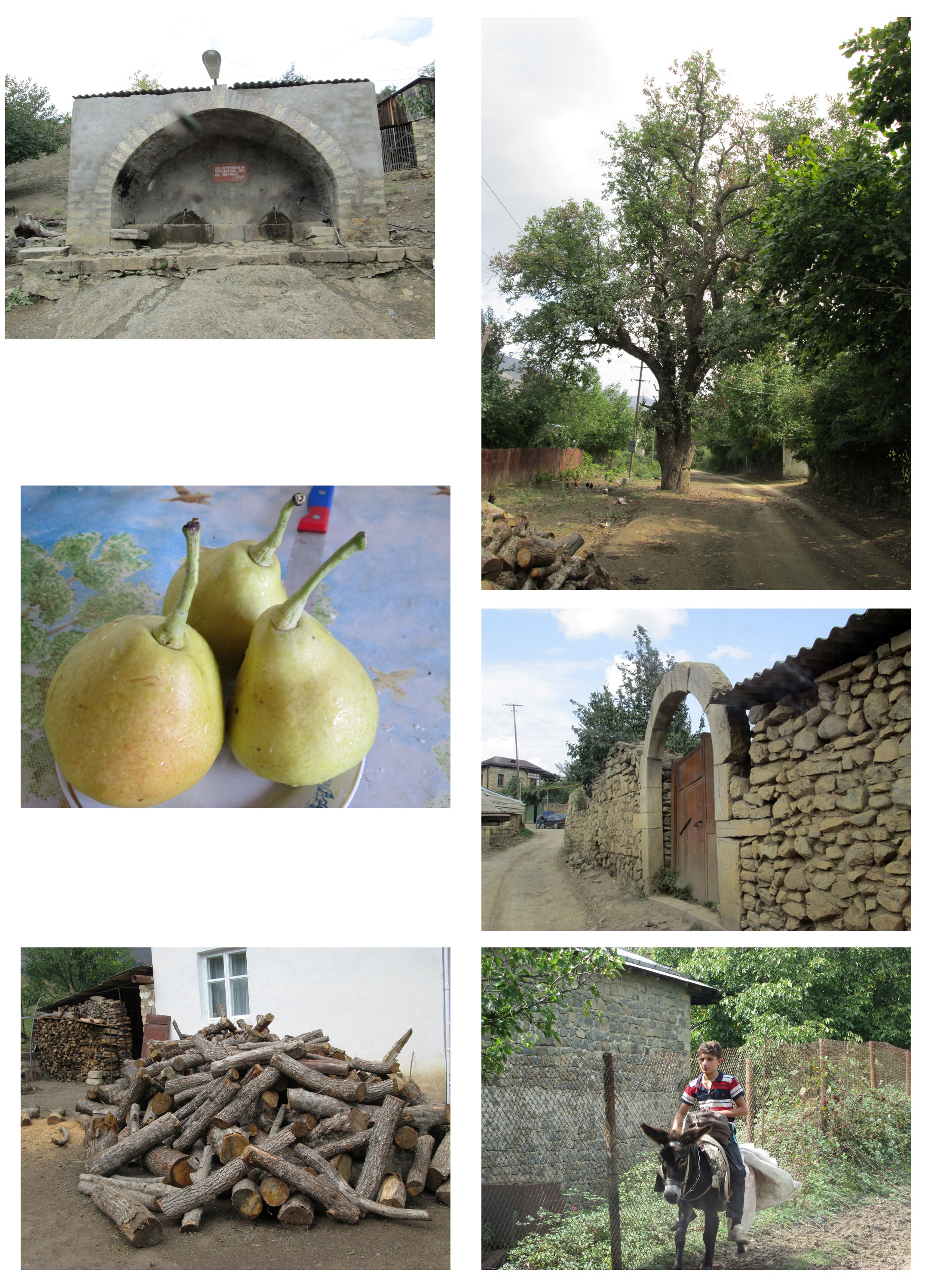 с.Тагасер Гадрутского района (родник, дорога, забор соседа Артура, мальчик на ослике...) с.Тагасер Гадрутского района (родник, дорога, забор соседа Артура, мальчик на ослике...)