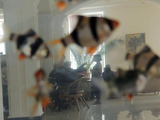 Взгляд сквозь аквариум... Взгляд сквозь аквариум...