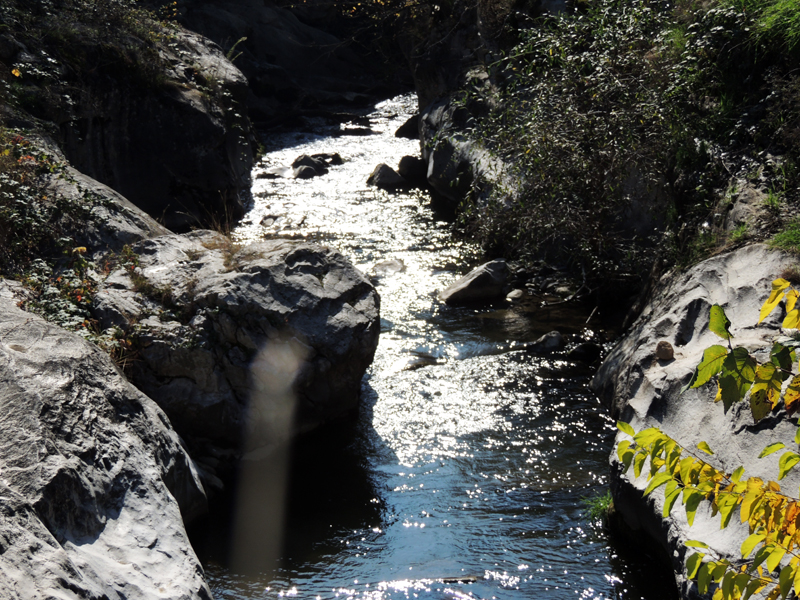 Рукав реки Каркар. Рукав реки Каркар.