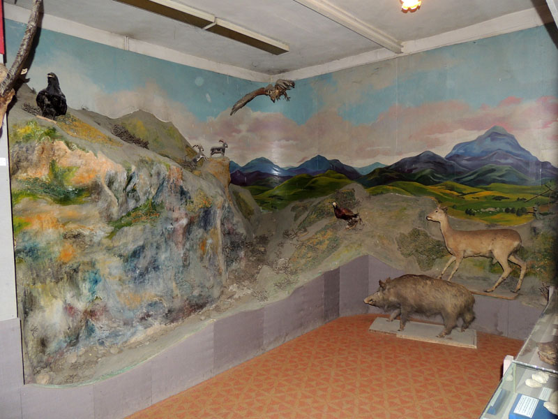 Природа и животный мир Нагорного Карабаха. Природа и животный мир Нагорного Карабаха.