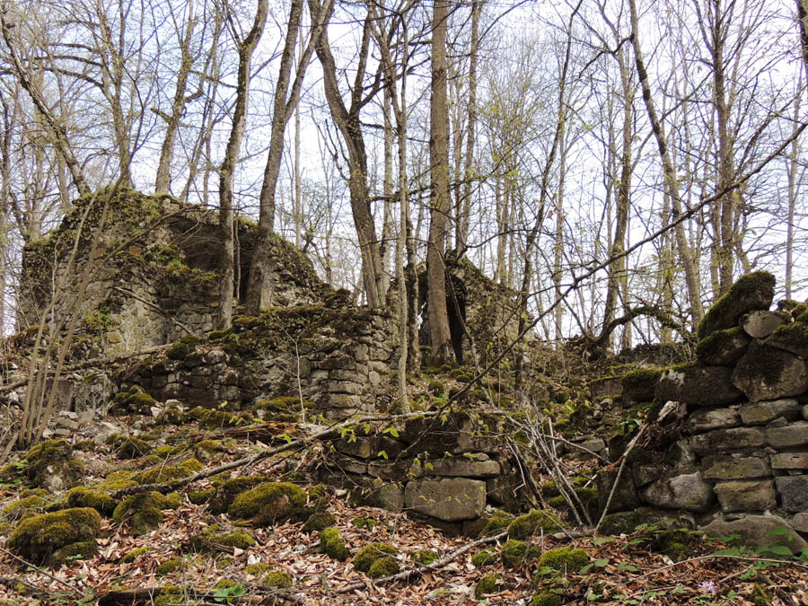 Развалины монастырского комплекса "Охты ехцы". Развалины монастырского комплекса "Охты ехцы".