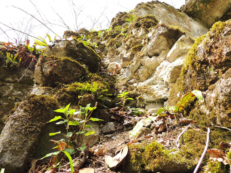 Развалины монастырского комплекса "Охты ехцы". Развалины монастырского комплекса "Охты ехцы".