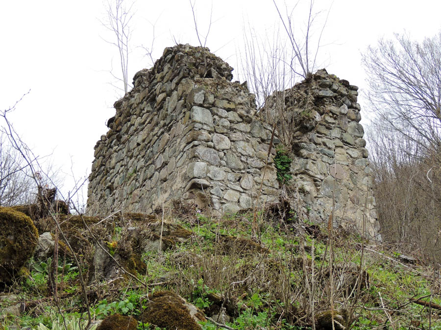 Развалины монастыря "Дарбасут ехцы". Развалины монастыря "Дарбасут ехцы".