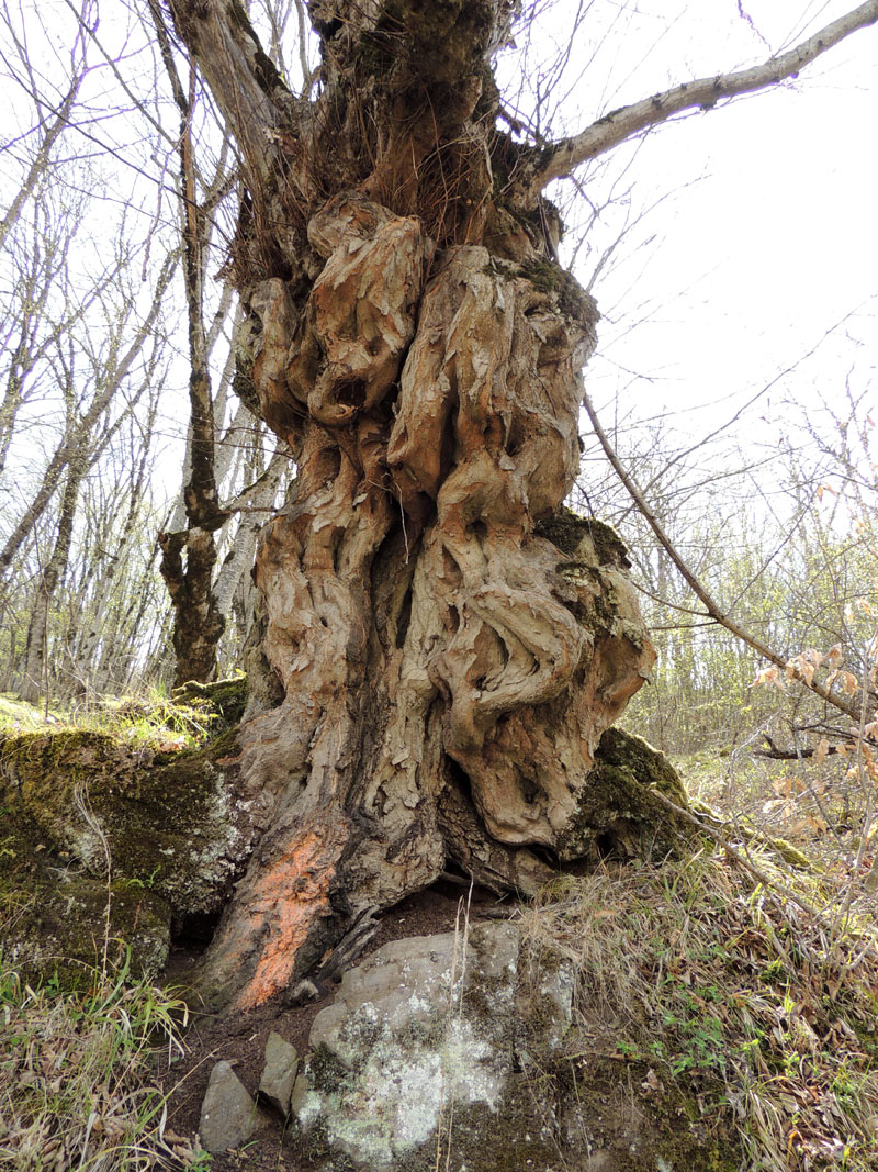 ЙЯ не такой, как все!" ЙЯ не такой, как все!"