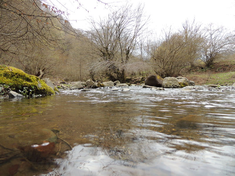 Река Бадара. Отражение деревьев в воде. Река Бадара. Отражение деревьев в воде.