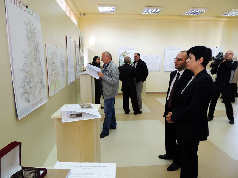 Нарине Агабалян задержалась у интересного Древа рода.