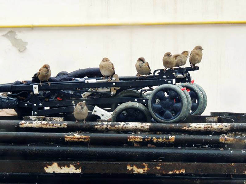 Фото сделано в Гадруте, в декабре 2013 года.