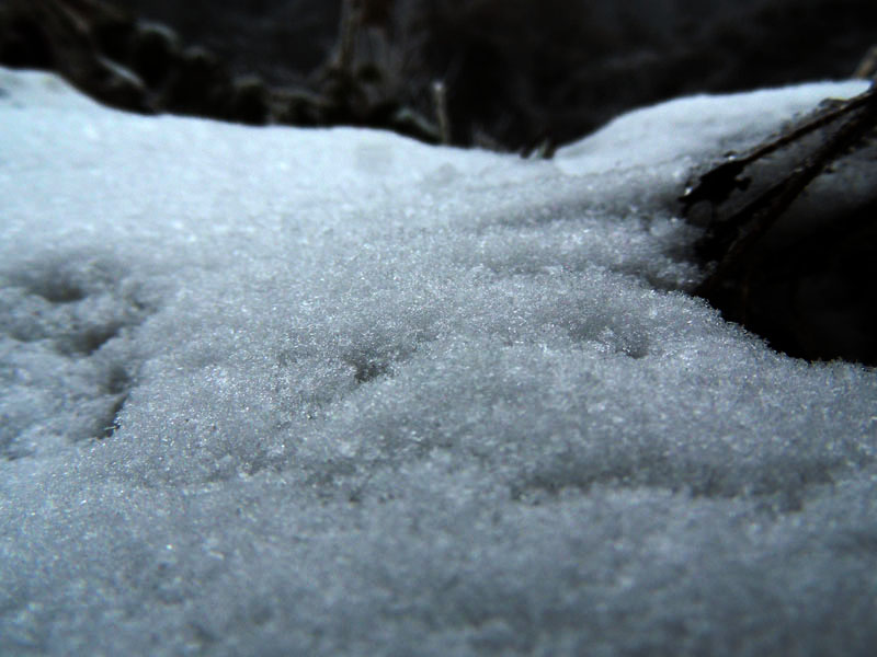 Фото 12. Фото 12.