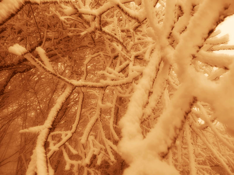 Фото 17. Ностальгическая сепия. Фото 17. Ностальгическая сепия.