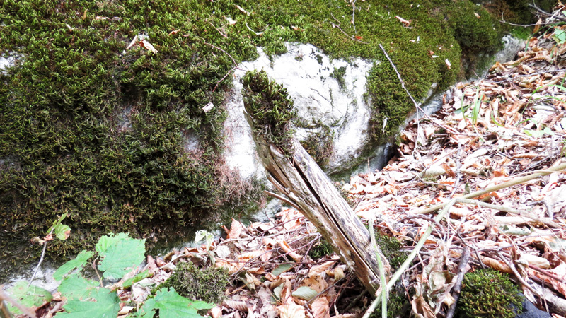 Ущелье Унот 30. Ущелье Унот 30.