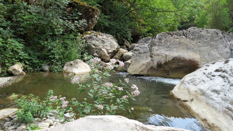 Ущелье Унот 41. Ущелье Унот 41.