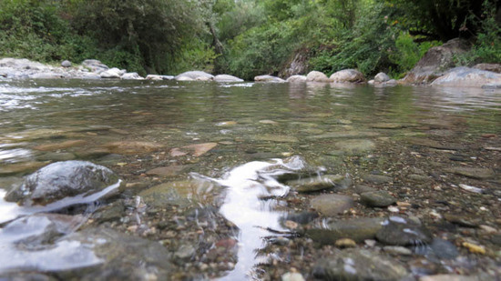 В этом месте мы переехали на машине.