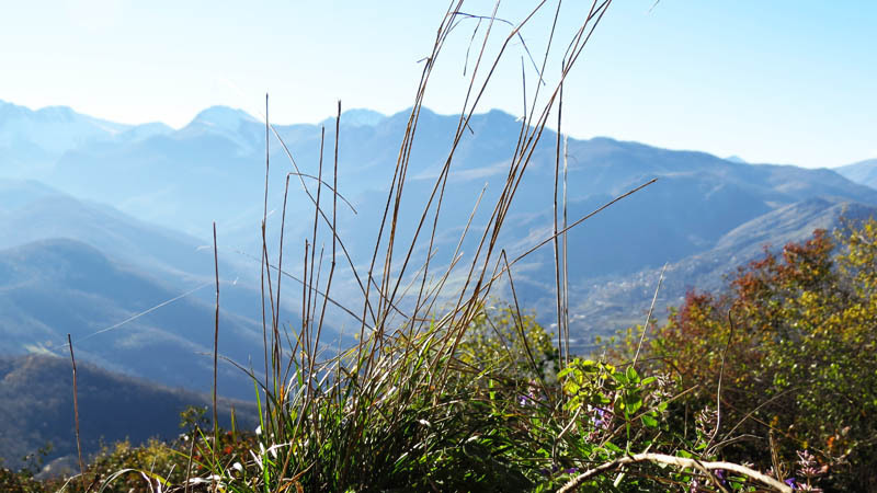 Вид на горы с монастырского двора.