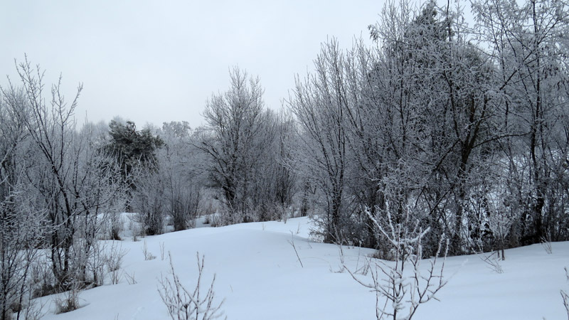  А здесь был уже глубокий снег.