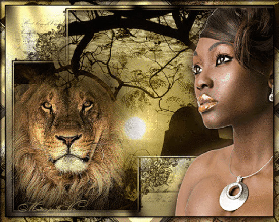 "Мулатка-шоколадка". "Мулатка-шоколадка".