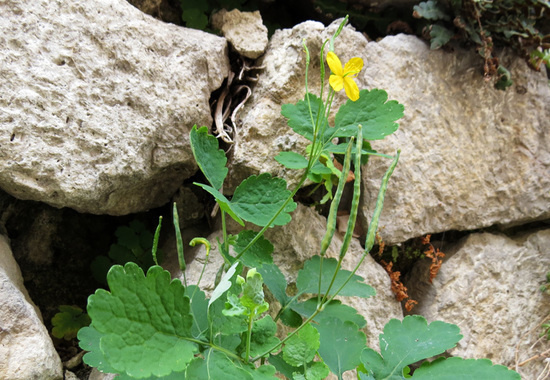 Зарисовка 1. Зарисовка 1.