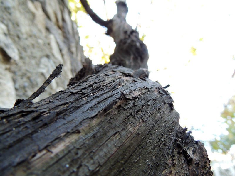 Зарисовка 8. Зарисовка 8.