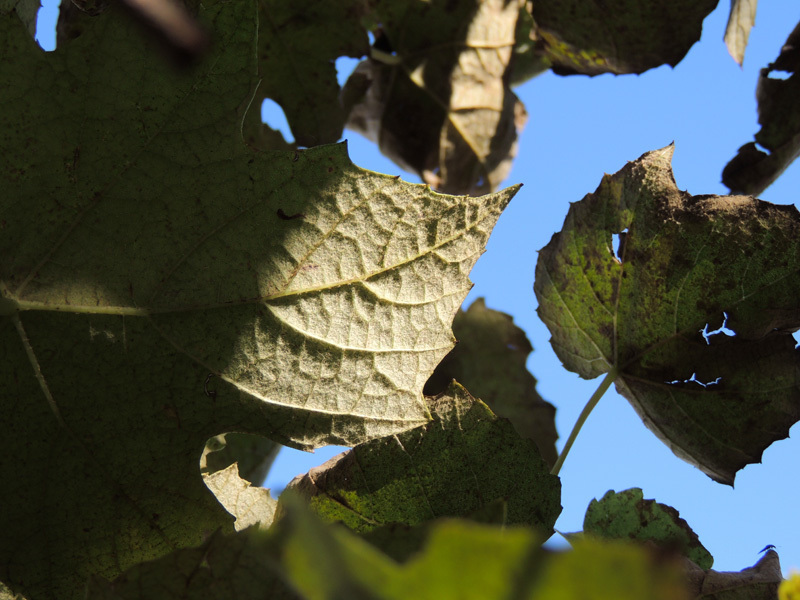 Зарисовка 9. Зарисовка 9.