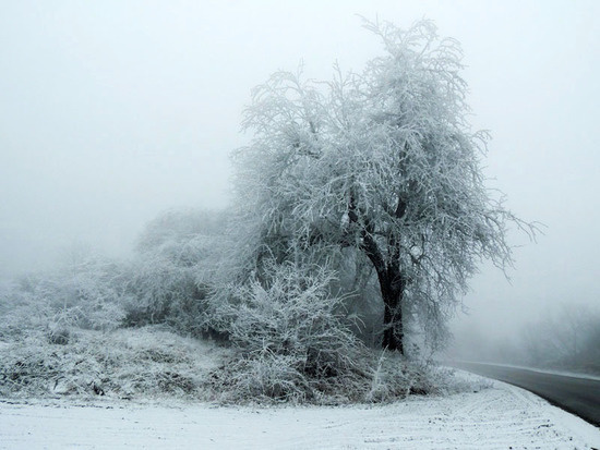 Виртуальная выставка, январь - 1. Виртуальная выставка, январь - 1.