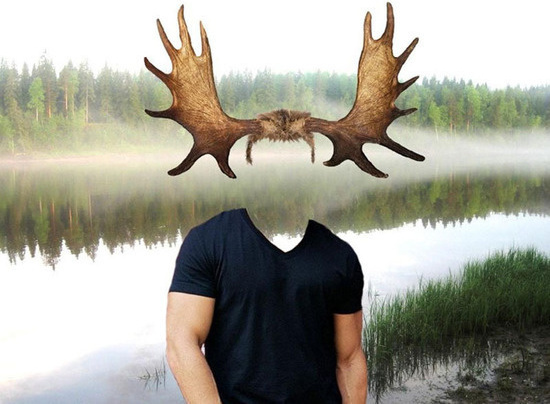 "Сохатый". "Сохатый".