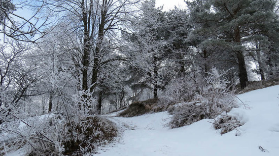 Фотография - Фотография -